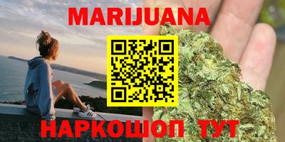 сатива Кандалакша