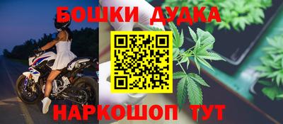 сатива Кандалакша