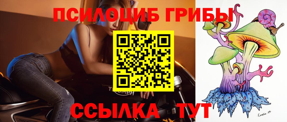 Галлюциногенные грибы Psilocybe  Вход с VPN  дарнет шоп  Кузнецк 