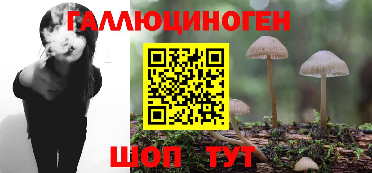 Галлюциногенные грибы ЛСД Кузнецк